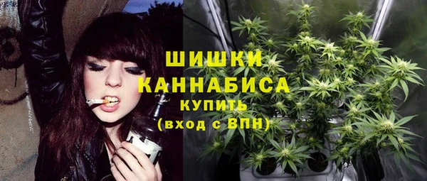 apvp Бугульма