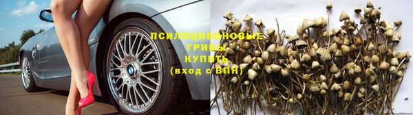 apvp Бугульма